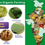 Types of Organic Farming In India