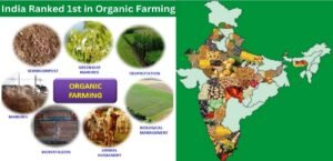 Read more about the article Organic Farming In India