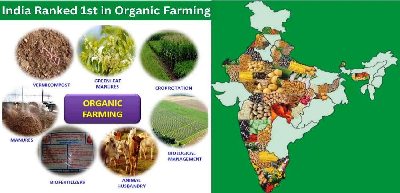 Types of Organic Farming In India